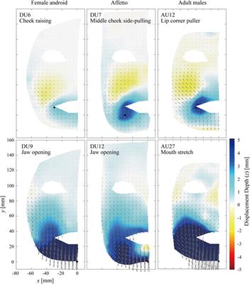 Comparison Between the Facial Flow Lines of Androids and Humans